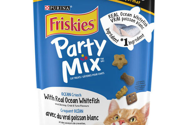 Cat-Treat-Party