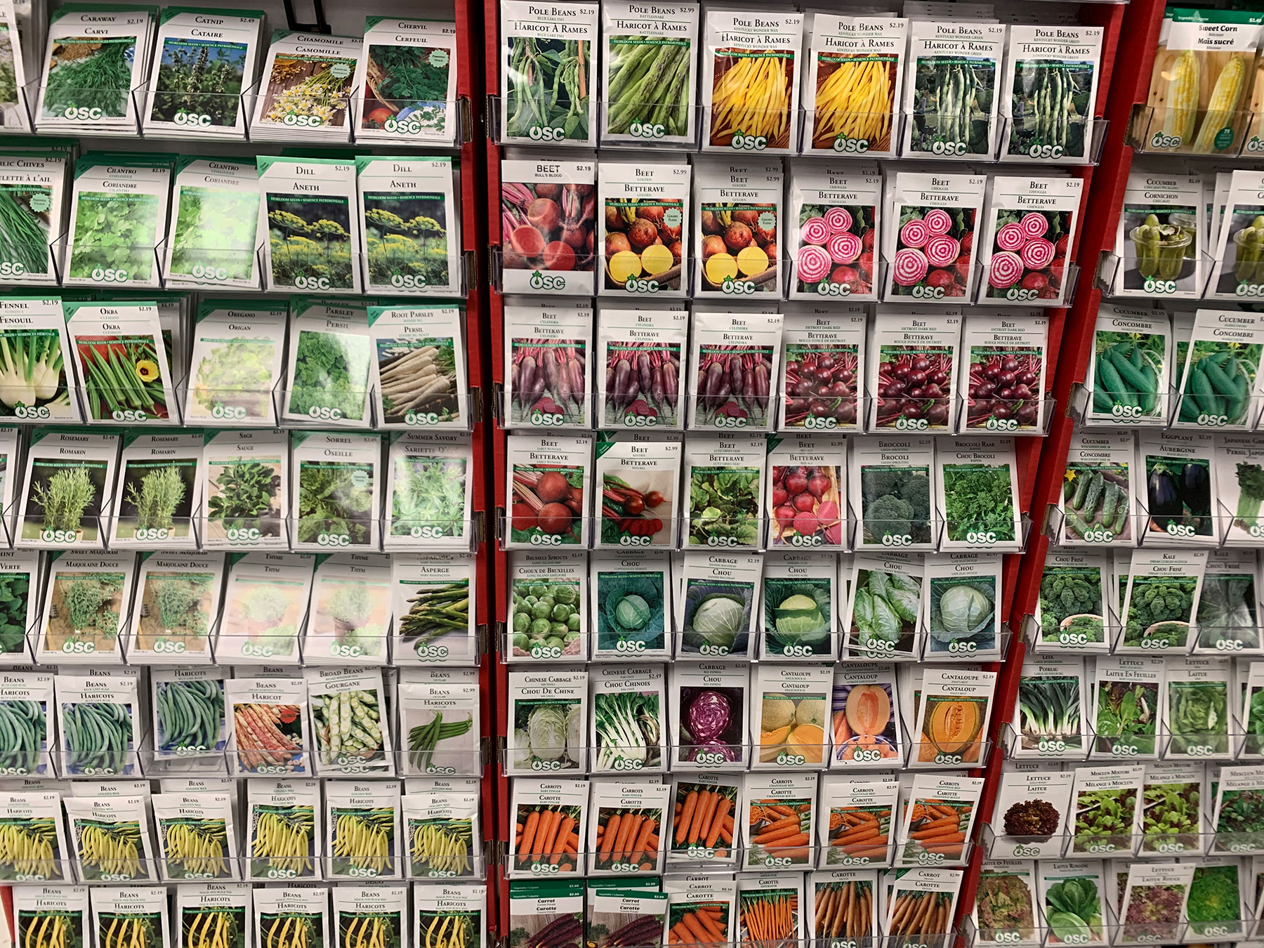 Sprout into Spring: Our Gardening Seeds Have Arrived!