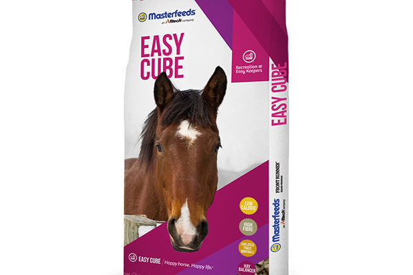 AA_Horse-EasyCube
