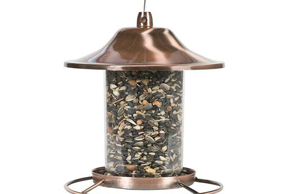 Wild Bird Feed Supplies